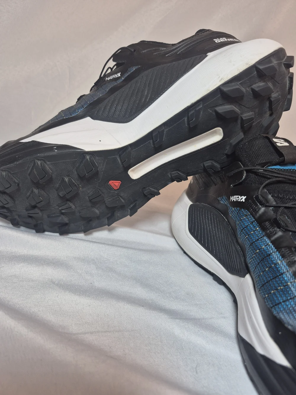 Salomon lab genesis